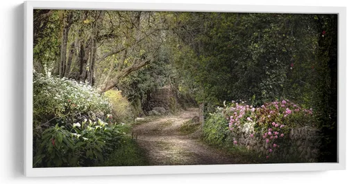 Vista 9 de Canvas Lab SECRET GARDEN by Ariadne Contreras 15 x 7 in Fine Art Framed Print, Frame Color: Black, With Mat Botanical, Scenery, Floral