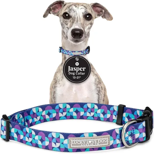 Vista 31 de Lucky Love Dog - Collar de perro ajustable con hebilla de fácil clic para los pequeños, duradero y cómodo para perros machos y hembras, collar