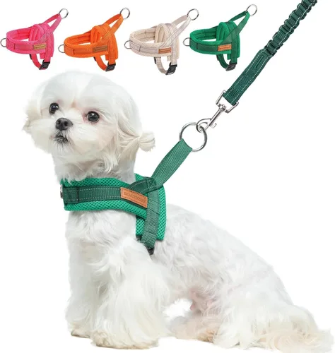 Vista 37 de BEAUTYZOO Arnés para Perros Pequeños, Juego de Arnés y Correa sin Tirones, Arnés de Pecho para Cachorros a Prueba de Escapes con Mango, Arnés Beige