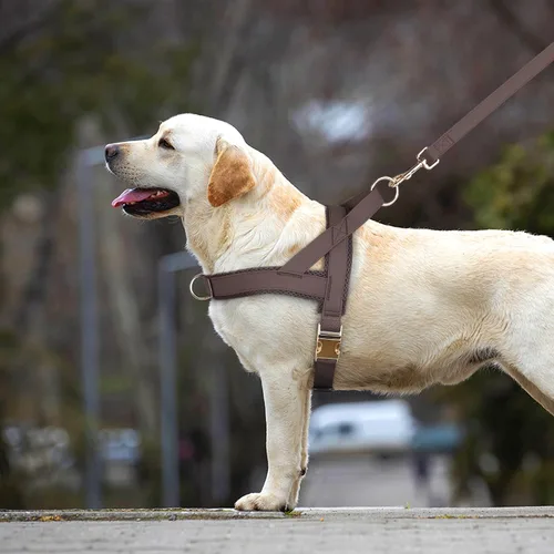 Vista 3 de PET ARTIST Arnés para perro sin tirones, suave acolchado de piel sintética con hebilla de metal de liberación rápida, correa ajustable de ajuste