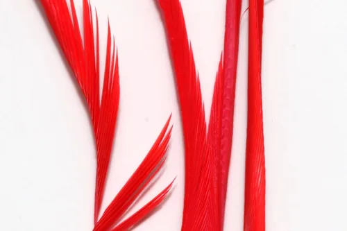Vista 4 de Hareline Fly Tying Stripped Goose Biots – Natural Goose Biots for Fly Tying Nymph Bodies, Tails & Wings