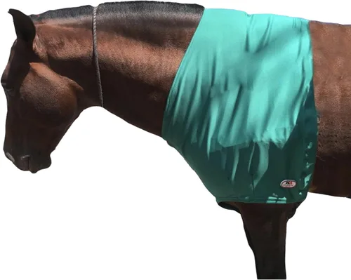 Vista 9 de Majestic Ally Protector de hombro de caballo de elastano/elastano elástico en 4 direcciones para y protección, grande, color negro