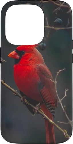 Vista 17 de Funda para iPhone 16 Cardinal Bird