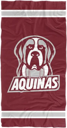 Vista 160 de LOGOVISION Manta Abilene Christian University, 30 x 60 pulgadas, logotipo primario CottonFront/PolyBackBeachTowel