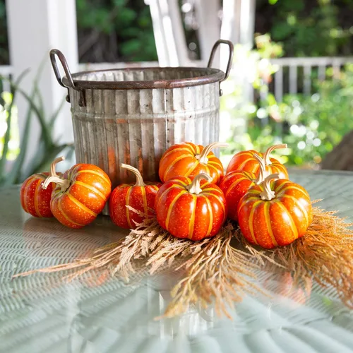 Vista 2 de Flora Bunda 8 calabazas de otoño en caja (crema)