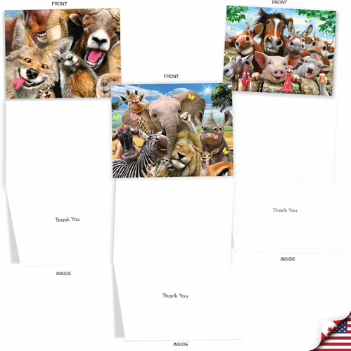 Vista 3 de The Best Card Company - 10 tarjetas de felicitación de agradecimiento de vida silvestre con sobres, papel de notas en caja de animales lindos - Aquí