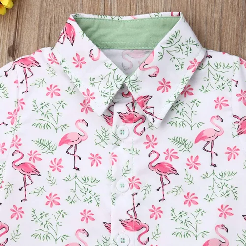 Vista 94 de Conjunto de camisa de manga corta con botones y pantalones cortos casuales con diseño de flamingo, para bebés y niños de 1 a 6 años, atuendos