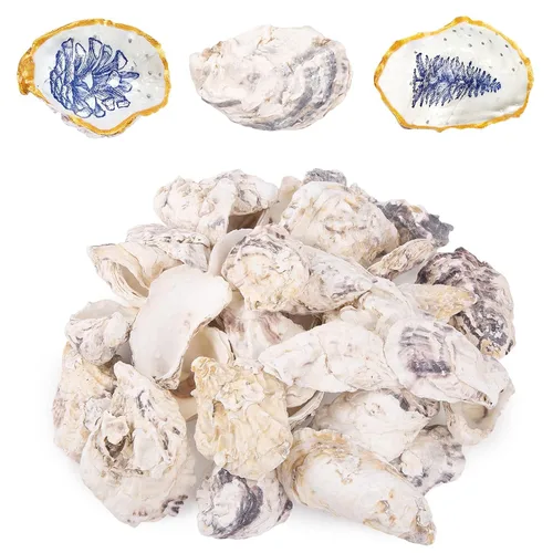 Vista 8 de QEQEKAKA 25 conchas de ostras cóncavas de 2 a 3 pulgadas para manualidades, conchas de ostras naturales a granel, para relleno de jarrones