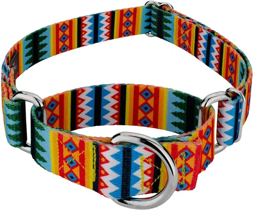 Vista 8 de Country Brook Petz - Collar de perro Albuquerque Martingale - Colección Country and Western con diseños rústicos (1/2 pulgada, 2XS)