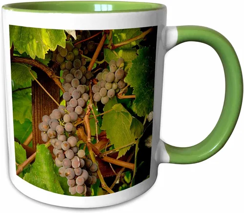 Vista 8 de 3dRose Danita Delimont – Vineyards – Estados Unidos, Oregón, Keizer, Pinot Gris Vineyard – US38 RBR0729 – Rick A Brown – Tazas, Negro/Blanco