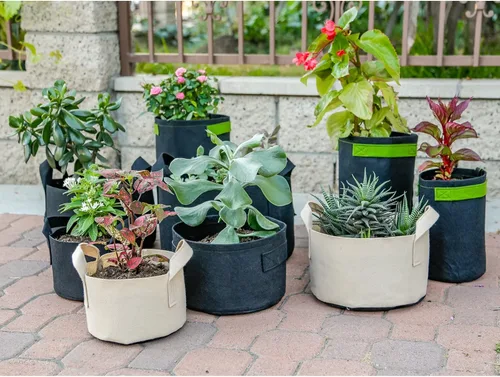 Vista 6 de 247Garden Paquete de 5 Macetas/Bolsas de Cultivo de Tela de Aireación de 1 Galón para Plantas con Asas (260 GSM, Negro, 6H x 7D)