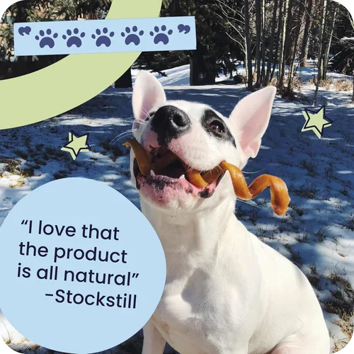 Vista 8 de Pawstruck Bully Sticks trenzados 100% naturales de 5 pulgadas, bolsa de 1 libra, masticables para perros de un solo ingrediente sin cuero crudo