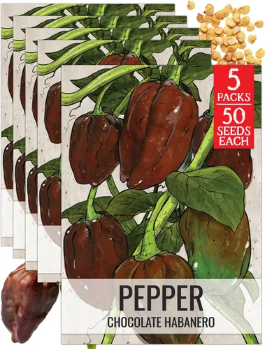 Vista 63 de Seed Needs - Semillas de pimiento arcoíris para plantar verduras, 1 paquete