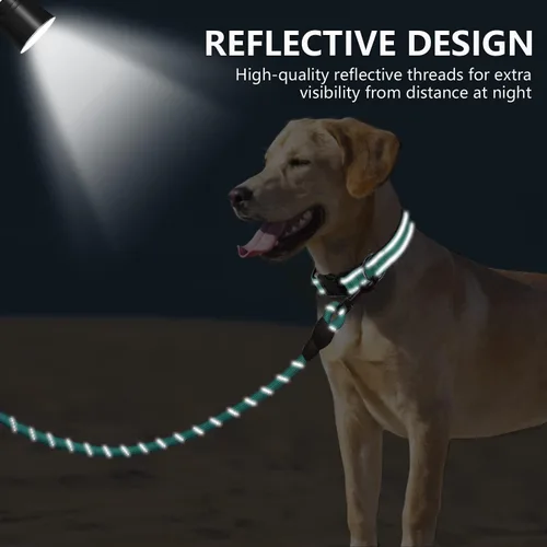 Vista 4 de Dynmeow Juego de collar y correa reflectante para perro, correa de cuerda de escalada fuerte de 6 pies con mango acolchado, collar ajustable