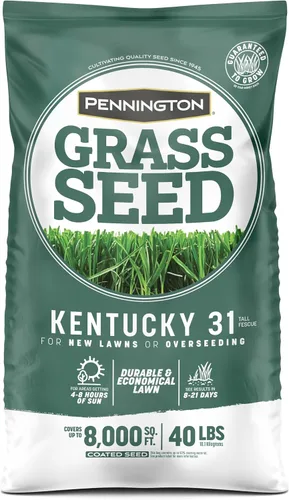 Vista 10 de Pennington Kentucky 31 Festuca - Semillas de hierba de 40 libras de alto