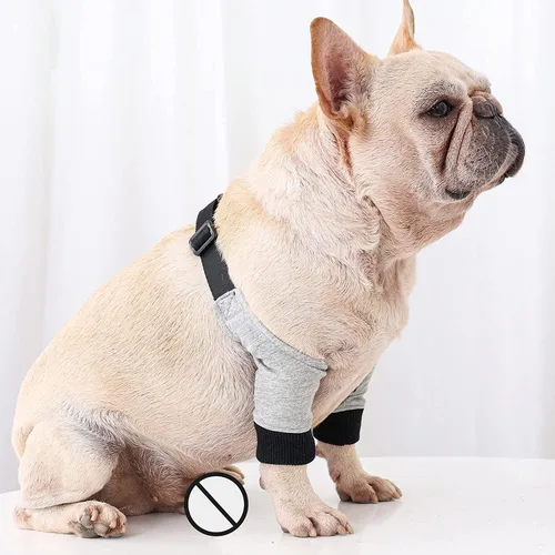 Vista 8 de Protector de codo para perro, soportes para patas delanteras de perro, mangas de recuperación con malla suave acolchada, almohadilla ajustable