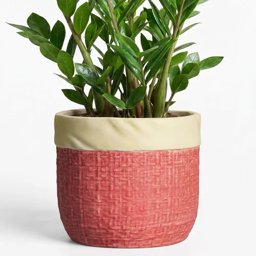Vista 12 de Macetas de cerámica para plantas, maceta de 6 pulgadas para plantas suculentas de interior, macetas redondas con orificio de drenaje, macetas Azul