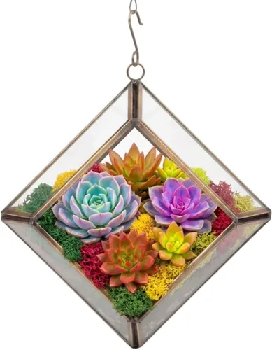 Vista 9 de D'Eco Glass - Mini exhibición de diamantes (5 x 5 x 3.5 pulgadas), terrario para macetas colgantes, decoración de primavera y Pascua, hogar y boda