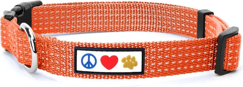 Vista 18 de Collar de entrenamiento reflectante para perros, de la marca Pawtitas, Negro