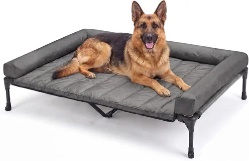 Vista 15 de Veehoo Cama Elevada Refrescante para Perro Añade Cojín Bolster Extraíble Impermeable Alfombrilla, Cuna Elevada para Mascotas con Malla Teslin