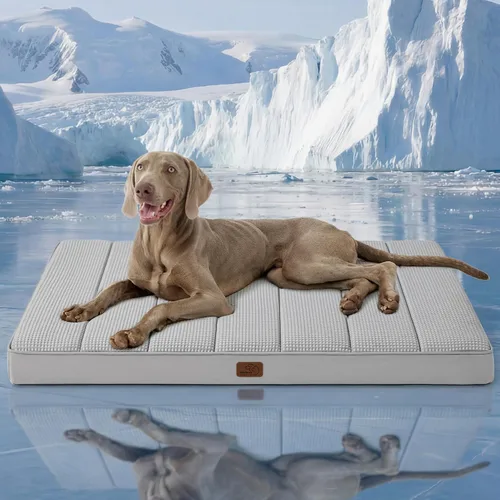 Vista 40 de Bedsure - Cama ortopédica pequeña para perros chicos, impermeable, con funda extraíble lavable, tapete de espuma con forma de huevera para mascotas