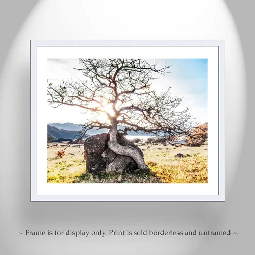 Vista 3 de Ashland Oregon Rogue Valley Nature Photography Wall Art Print