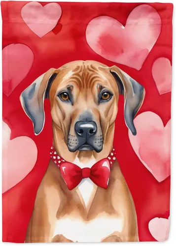 Vista 98 de Caroline's Treasures DAC5252GF Affenpinscher - Bandera de jardín con texto en inglés "My Valentine", bandera decorativa para patio exterior, patio
