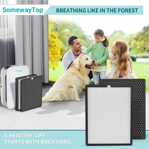 Vista 8 de AP-B102 - Juego de filtros de repuesto compatibles con filtros ifier Alexapure Breeze Air Pur de repuesto AP-B102 y 3049 3 en 1 limpiador de aire