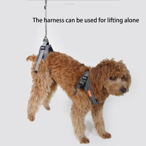 Vista 5 de Silla de ruedas para perros para patas traseras, silla de ruedas ajustable para perros pequeños y medianos, carrito de movilidad de aluminio ligero