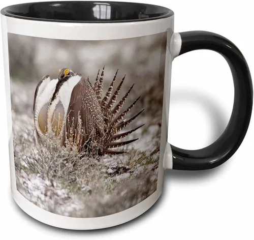 Vista 7 de 3dRose Taza de café, tamaño – 11oz – Faro de Cabo Blanco SP, Port Orford Oregon – US38 MGI0164 – Mark Gibson Lighthouses – divertido regalo de taza