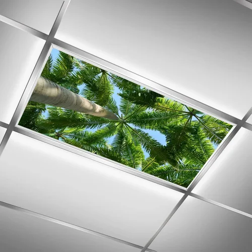 Vista 34 de Inserto de Cubierta de Luz de Techo Suspendido 4' x 2' pies (Naturaleza Bosque Hojas de Bambú Sol Verde) - Cubierta de Luz Fluorescente Reduce