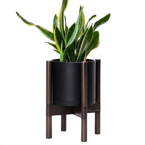 Vista 15 de Maceta de D'vine Dev con soporte - Maceta de flores de cilindro de plástico de 8.0 pulgadas con soporte de madera para interiores, maceta mate negra
