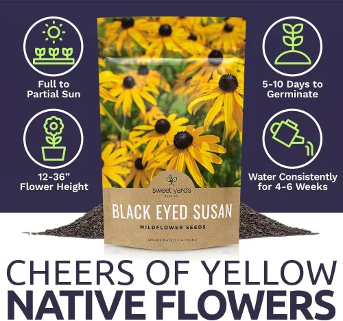 Vista 6 de Black Eyed Susan Seeds - Bolsa a granel de un cuarto de libra - Más de 400,000 semillas de flores silvestres polinizadas abiertas sin OMG