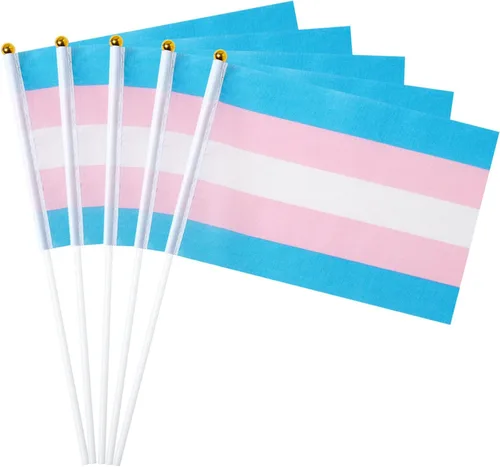 Vista 8 de GentleGirl Paquete de 12 banderas de arco iris del orgullo asexual, pequeñas banderas de mano gay LGBT Festival Fiesta Desfiles Decoraciones