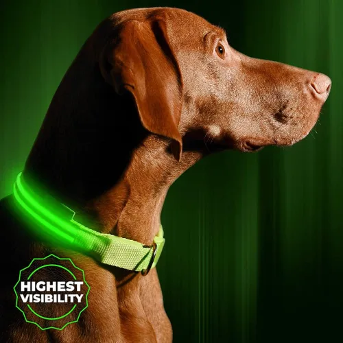 Vista 13 de Collar para perros LED Illumiseen, recargable por USB, Anaranjado encendido