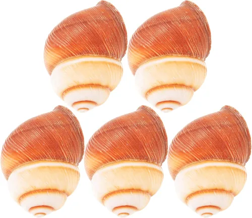 Vista 3 de FRCOLOR 5 unids hogar hornear caracol conchas estilo francés caracol comida escargot conchas gruesas Escargot material de cocina