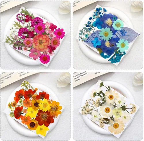 Vista 6 de Kit de 140 hojas de flores secas prensadas para moldes de resina y Blanco Amarillo 140pcs