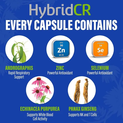 Vista 4 de HybridCR Suplemento de apoyo inmunológico rápido, fórmula herbaria natural formulada por farmacéuticos para aumentar la inmunidad remedio natural