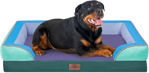 Vista 206 de Comfort Expression - Cama ortopédica para perros medianos, 28 x 19 pulgadas, cama impermeable y de apoyo de espuma con cojines removibles, sofá