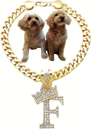 Vista 48 de Collar de cadena con letra inicial cubana para perro, collar de cadena para mascotas, gato, collar para cachorro (S, 25 cm)