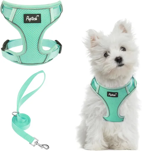 Vista 23 de PUPTECK Juego de arnés y correa para perro pequeño, arnés ajustable sin tirones para cachorro, chaleco de malla suave reflectante para mascotas