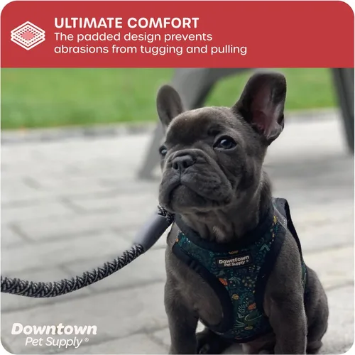 Vista 71 de Downtown Pet Supply Arnés para perro Step-in – Sin tirones, malla acolchada ajustable con ribete reflectante, correa de hebilla segura – Arnés