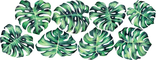 Vista 4 de Tropical Monstera Deliciosa - Vinilo decorativo para pared, diseño de planta de filodendro tropical Chromantics