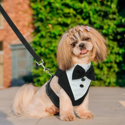 Vista 7 de BRKURLEG Chaleco de esmoquin para perro, ajustable sin tirones, esmoquin para perros pequeños y medianos, traje de fiesta de boda para perro