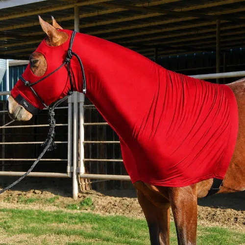 Vista 5 de Sleazy Capucha de Lycra con Cremallera Verde cazador