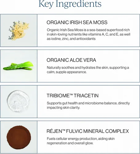 Vista 3 de CYMBIOTIKA Suplemento de Musgo Marino Irlandés, Musgo Marino Silvestre Orgánico con Aloe Vera, Minerales Fúlvicos, Postbióticos, Apoyo