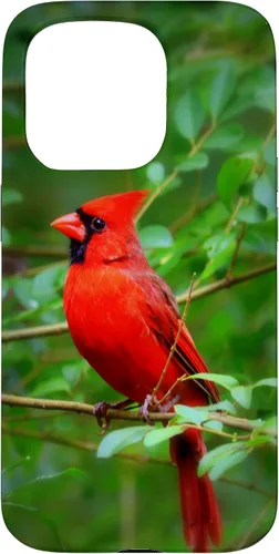 Vista 14 de Hermosa cardenal pájaro rojo escena de la naturaleza caso para iPhone 17