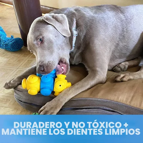 Vista 6 de Juguetes de rompecabezas para perros inteligentes, interactivos, rompecabezas de golosinas, enriquecimiento