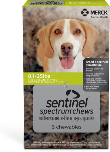 Vista 14 de SENTINEL SPECTRUM Masticables para perros, 50-100 libras, 6 masticables, suministro para 6 meses, caja azul