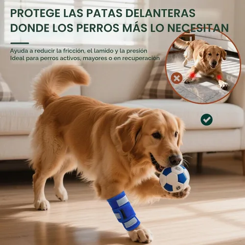 Vista 2 de Kuoser Soporte de pierna delantera para perro y protector de codo, codo ajustable para perro con tira reflectante, manga de compresión para piernas